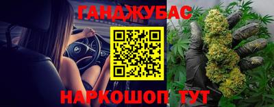 сатива Бузулук