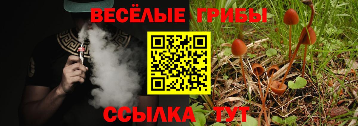 Псилоцибиновые грибы прущие грибы Приморско-Ахтарск
