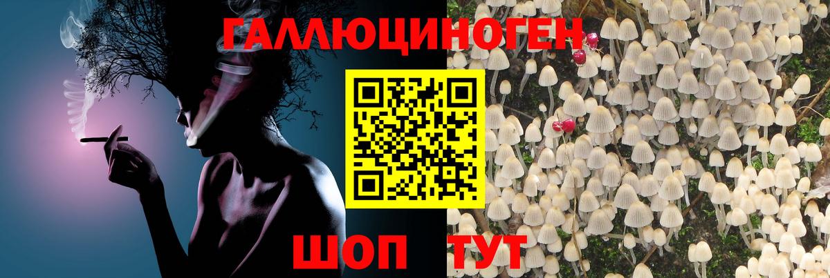 Псилоцибиновые грибы ЛСД  Вход с VPN  Приморско-Ахтарск  Галлюциногенные грибы мухоморы 